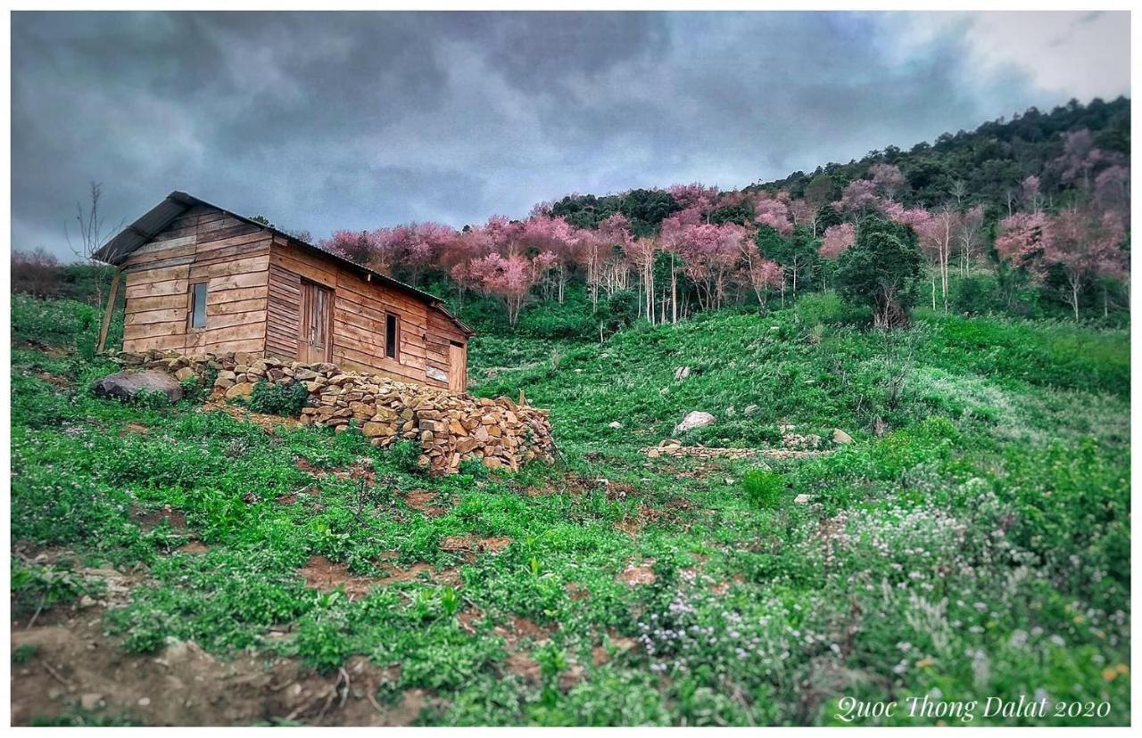 Vanila House Da Lat Eksteriør billede